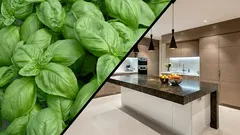 Ova biljka je nezaobilazna u vašoj kuhinji ako želite prirodno otjerati muhe.