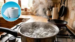 Skuhao sam kipuću vodu po toaletnom papiru i riješio problem s kojim se suočava većina obitelji.