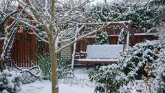 Važni zadaci u vrtu i povrtnjaku u siječnju