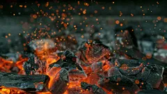 Najbrži i najsigurniji način paljenja ugljena.