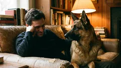 Kako psi razumiju raspoloženja svojih vlasnika: iznenađujuće činjenice